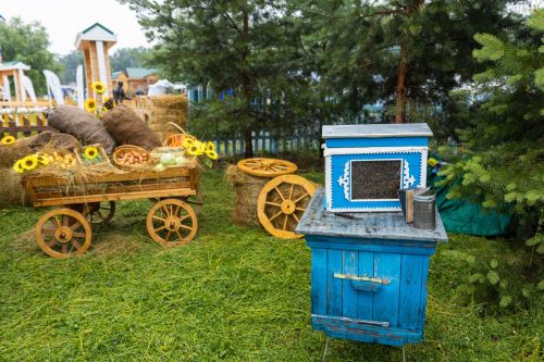 Алексеевский район представил сказочное подворье на Казанском Сабантуе