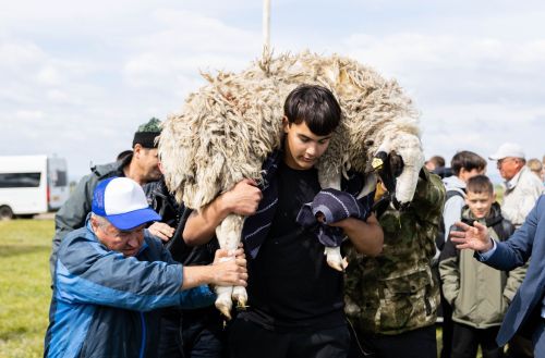 На Сабантуе в Алексеевском определили абсолютных батыров