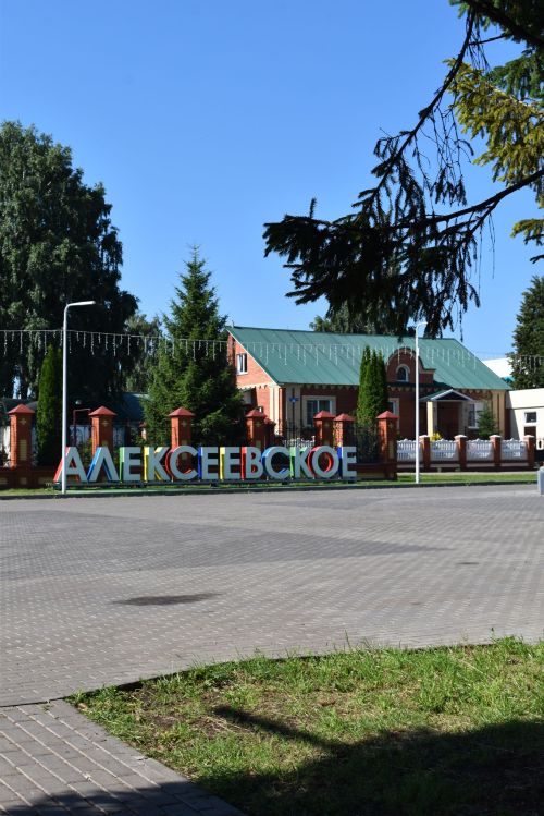 Прогноз погоды в Алексеевском на 28 июля