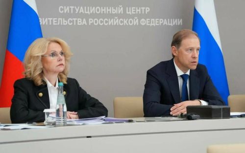 Мантуров и Голикова обсудили меры поддержки сотрудников с детьми