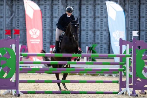Команда Татарстана выиграла Спартакиаду народов России по конкуру