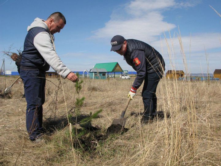 Руководитель исполкома Алексеевского района Сергей Демидов принял участие в республиканской акции «День посадки леса»