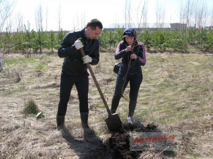 Фоторепортаж: В Алексеевском состоялась акция «День посадки леса»
