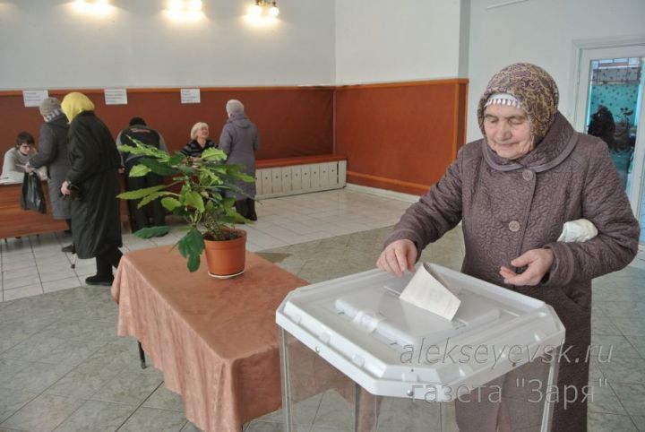 В Алексеевском районе состоятся референдумы
