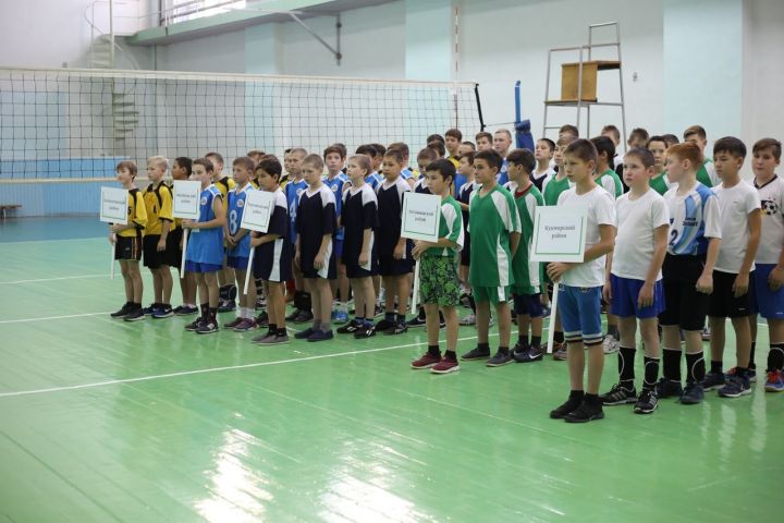 Сегодня в Алексеевском районе торжественно открылись соревнования по волейболу