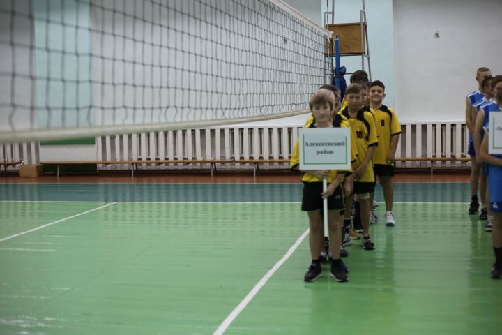 Сегодня в Алексеевском районе торжественно открылись соревнования по волейболу