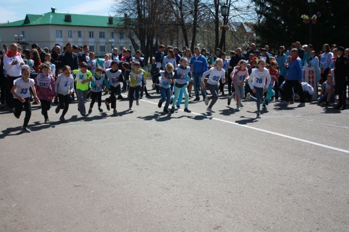 В Алексеевском районе прошел мини-марафон