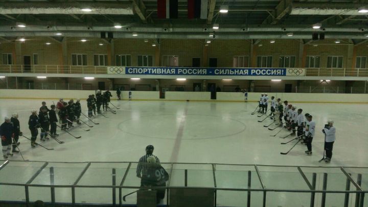 Алексеевцы стали призёрами Хоккейного Турнира