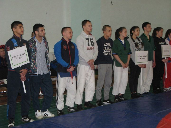 В Алексеевском состоялось открытие Чемпионата РТ по борьбе на поясах
