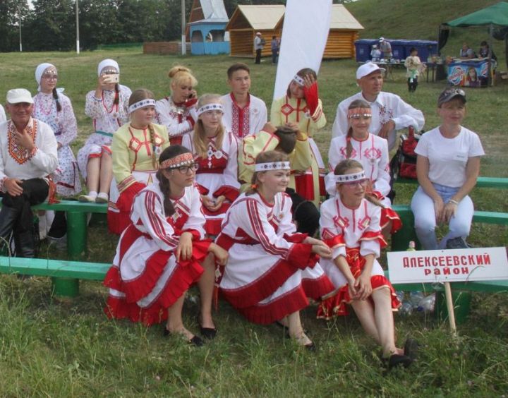 Алексеевский район принял участие в республиканском детском фестивале