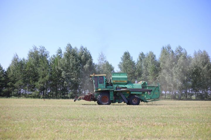 В Алексеевском районе намолочено 4562 тонны зерна