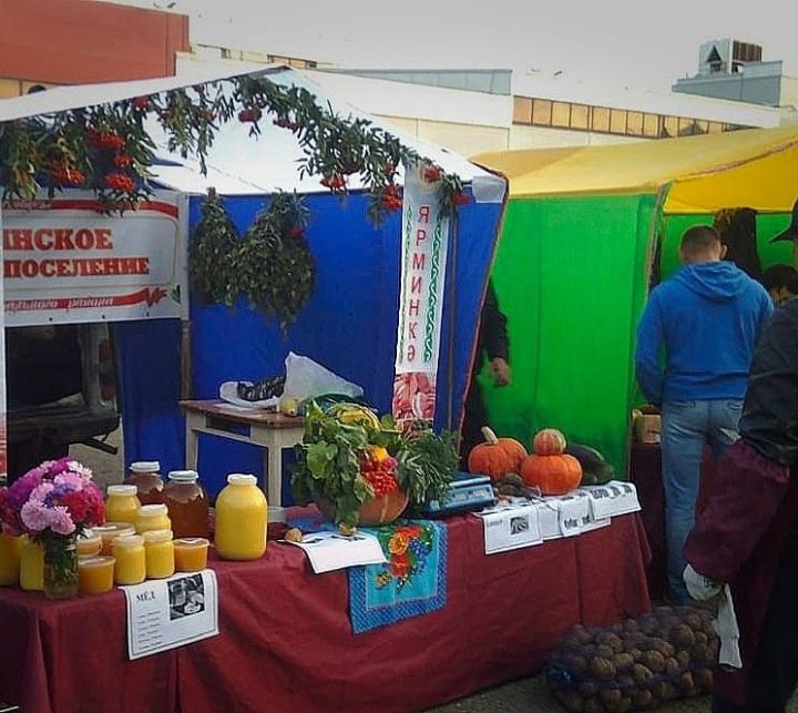 Алексеевский район предлагает свою продукцию на сельскохозяйственной ярмарке в Казани
