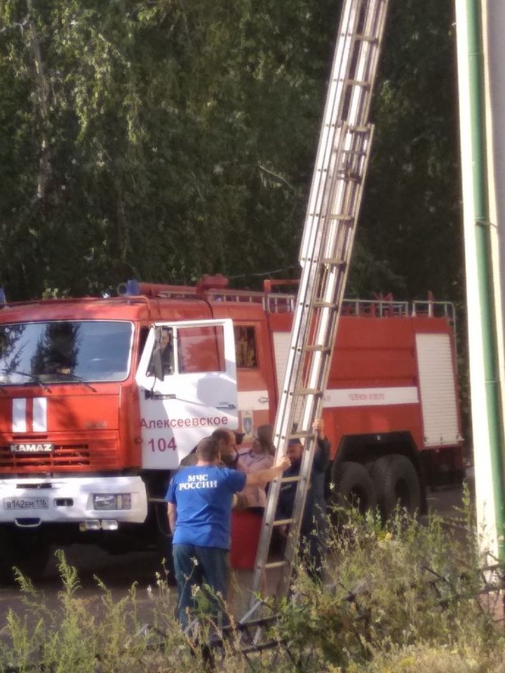В Алексеевском районе сотрудники МЧС и пожарной охраны спасли кошку