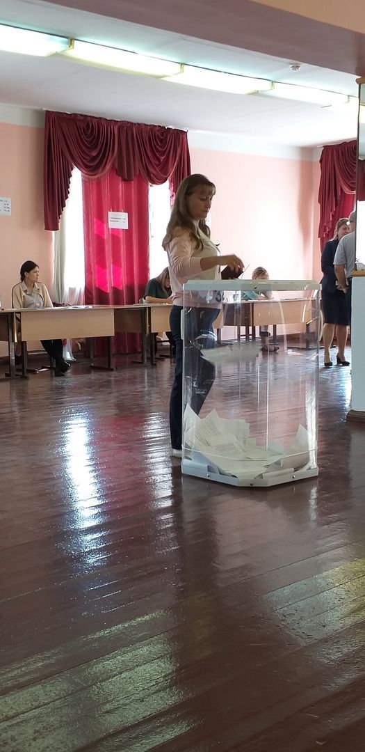 В Алексеевском районе проходят дополнительные выборы депутатов