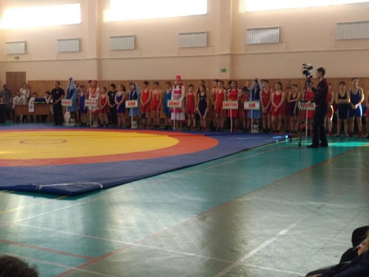 Алексеевские спортсмены приняли участие в Первенстве РТ по борьбе