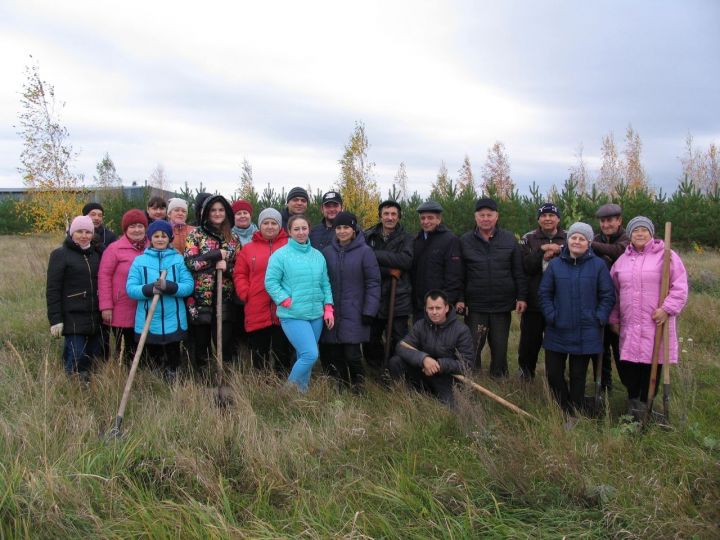 Фотофакт: Алексеевцы посадили свыше четырехсот деревьев