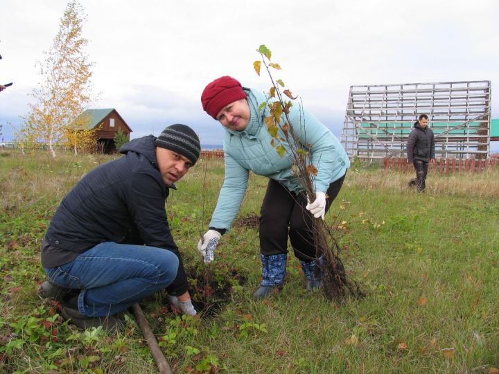 Фотофакт: Алексеевцы посадили свыше четырехсот деревьев