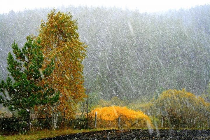 Гидрометцентр: последние теплые дни осени  - уже на следующей неделе россиян ожидает "минус и мокрый снег"