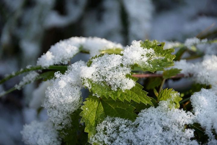 По народным приметам 27 октября узнаем, когда ляжет снег