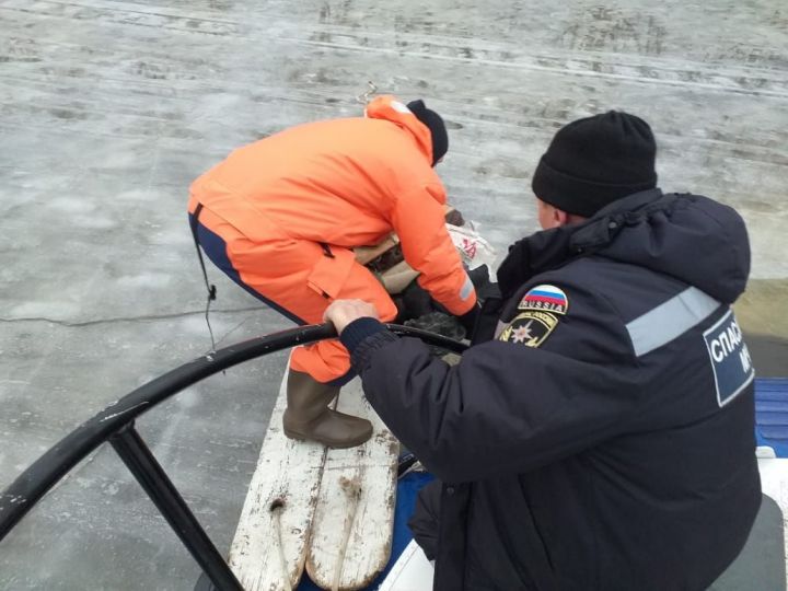 Спасатели помогли выбраться рыбакам, провалившимся под лед