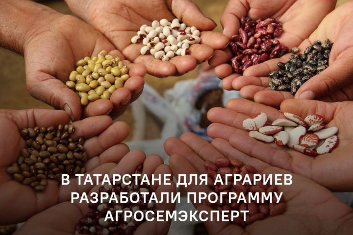 В Татарстане для аграриев разработали программу АгроСемЭксперт