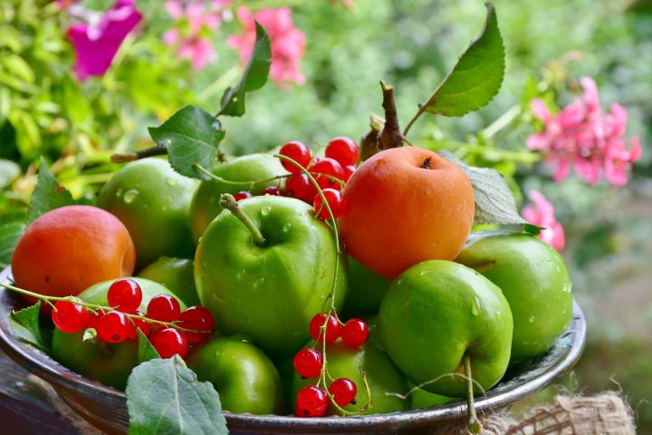 Зачем съедать по 1 яблоку в день: 6 любопытных изменений в организме