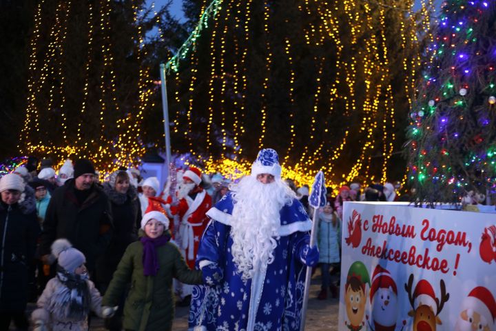 Парад Дедов Морозов, игры, хороводы и красочный салют – в Алексеевском зажгли главную елку!
