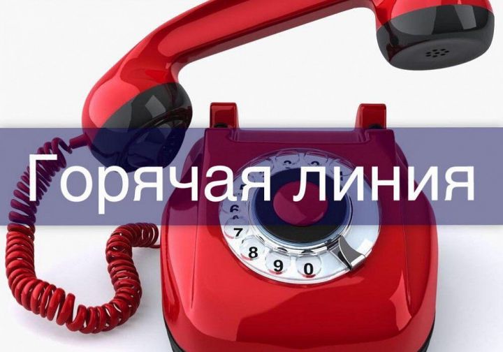 Пенсионный фонд Татарстана проведет бесплатную горячую линию по вопросам пенсионного обеспечения