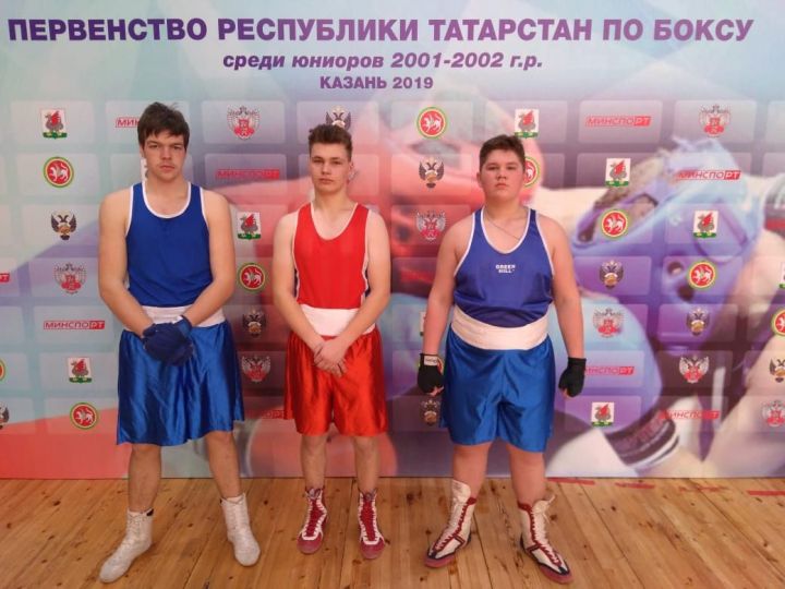 Алексеевские боксеры остановились в шаге от бронзы на первенстве Татарстана