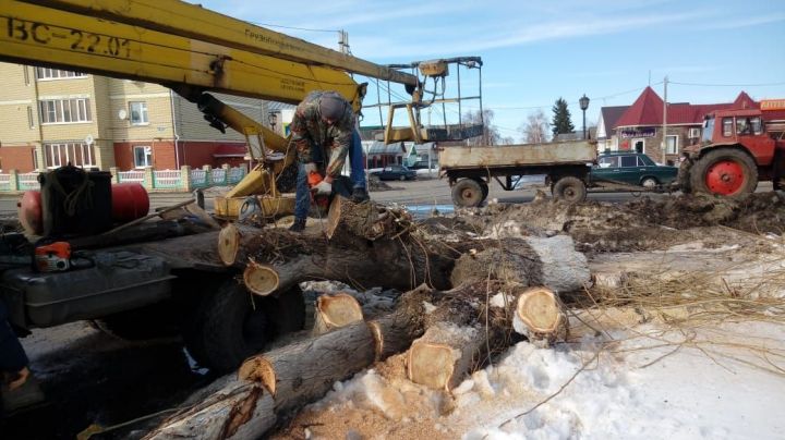 Работники коммунальных служб спиливают старые деревья на перекрестках райцентра