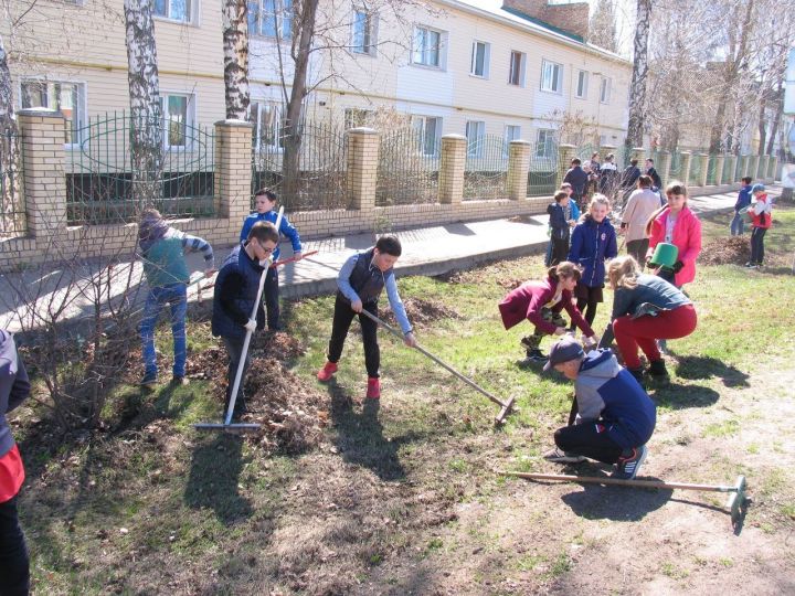 Ученики третьей школы поселка им Г. С. Боровикова присоединились к акции «Эко весна»