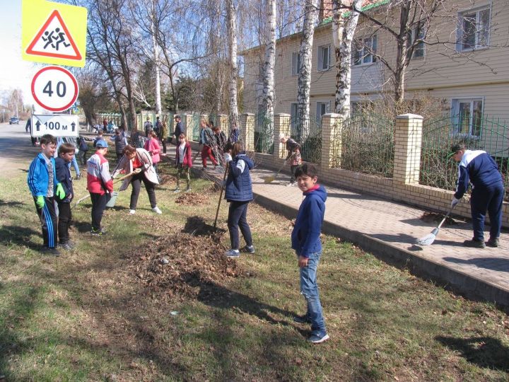 Ученики третьей школы поселка им Г. С. Боровикова присоединились к акции «Эко весна»