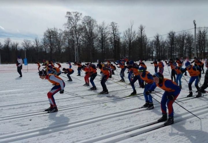 Алексеевский район принял участие в республиканском лыжном марафоне