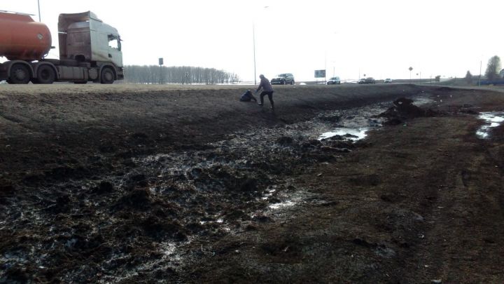 Фоторепортаж: Трудовые коллективы Алексеевского района вышли на уборку закреплённых территорий