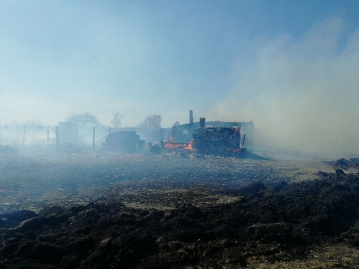 В Алексеевском районе участились случаи горения травы и мусора