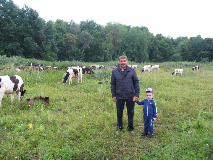 Фермер из Алексеевского района выиграл грант на развитие мясного скотоводства
