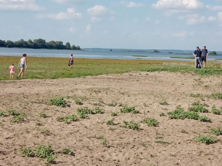 Акция "Чистый берег" прошла в Лебедино Алексеевского района