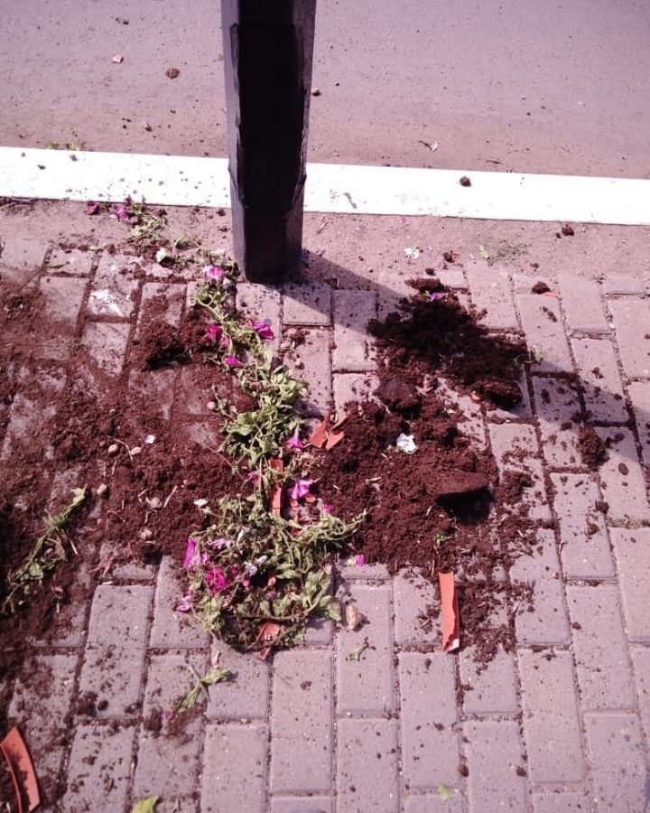 Ученики второй и третьей школ райцентра разбили цветочные горшки на центральной улице райцентра