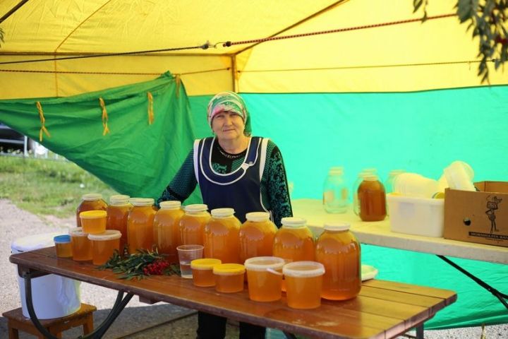 Фестиваль меда в Алексеевском районе