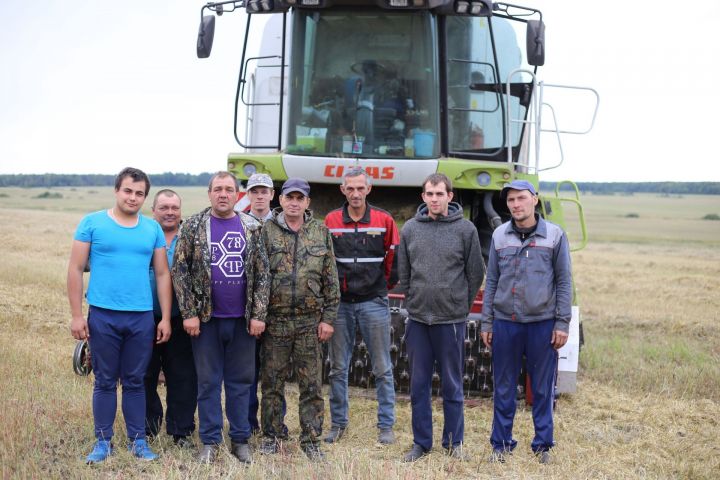 Более пятнадцати комбайнов работают на поле возле Ошняка