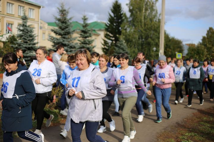 В Алексеевском нормативы ГТО сдало свыше двухсот человек