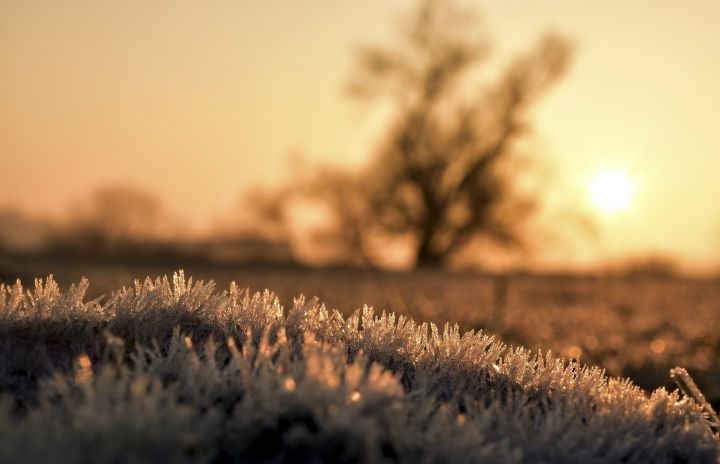 Гидрометцентр – раскрыта причина аномально теплой зимы в России