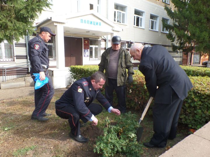 В канун Дня пожилых людей сотрудники полиции посадили деревья и навестили ветеранов службы