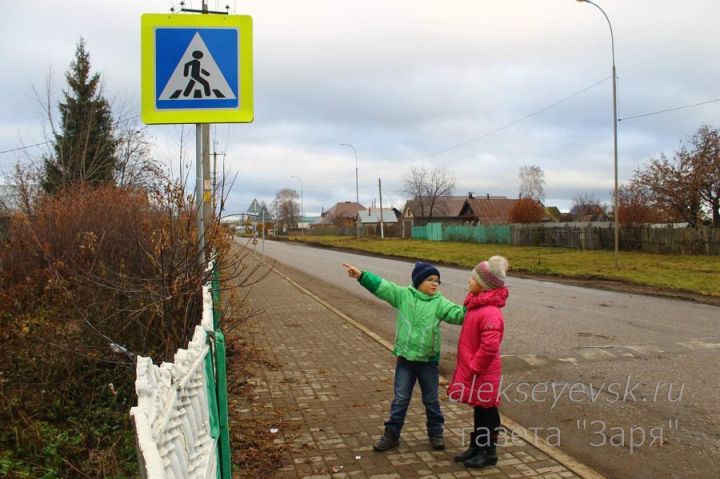В Алексеевском районе стартовала профилактическая операция «Пешеход»