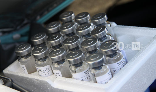 700 тысяч татарстанцев сделали прививку от гриппа
