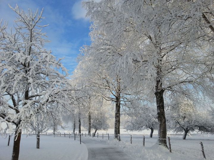 Прогноз погоды на зиму: Зима будет холоднее предыдущей