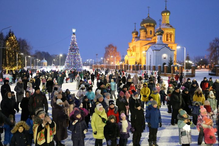 В Алексеевском в День Конституции РФ зажглись огни на главной ёлке района