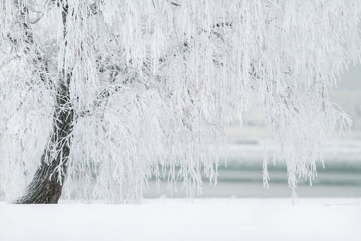 В Гидрометцентре предупредили о возможных морозах в марте