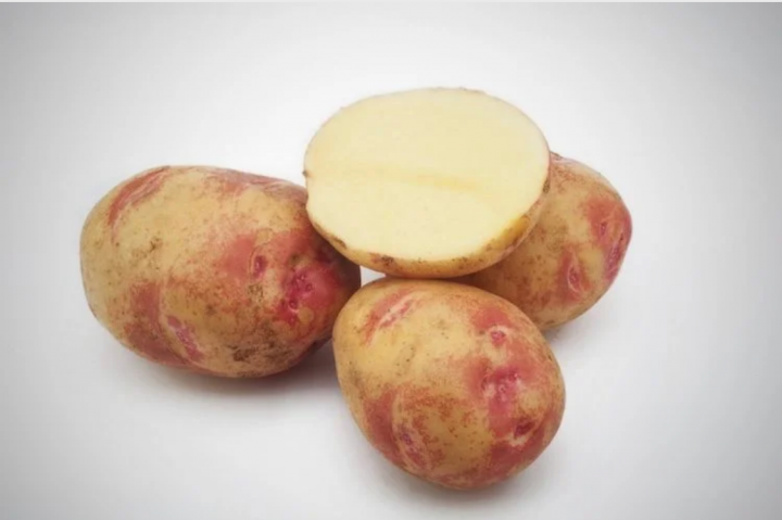 5 лучших сортов картофеля для посадки