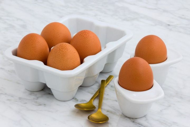 В чем разница, между белым и коричневым яйцом?